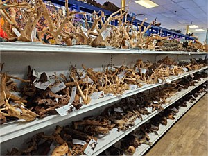 Wood Aisle